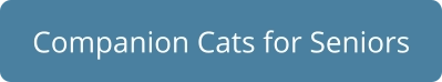 Companion Cats for Seniors