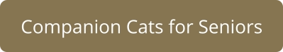 Companion Cats for Seniors