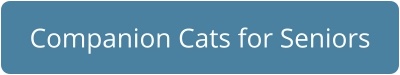 Companion Cats for Seniors