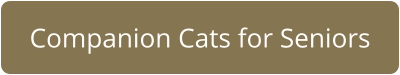 Companion Cats for Seniors