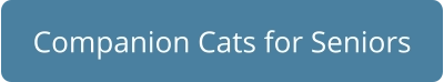 Companion Cats for Seniors