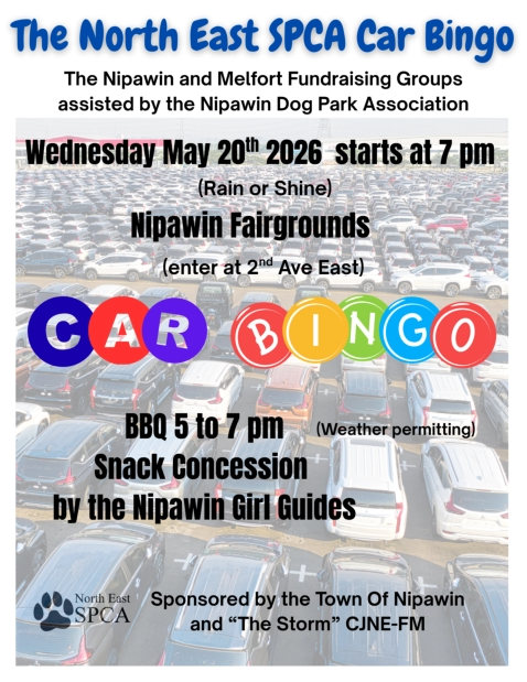 Car Bingo May 20