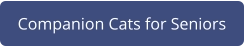 Companion Cats for Seniors