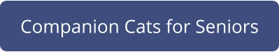 Companion Cats for Seniors