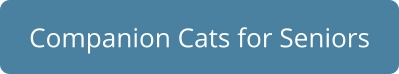 Companion Cats for Seniors