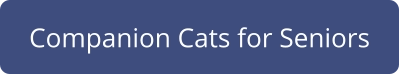 Companion Cats for Seniors