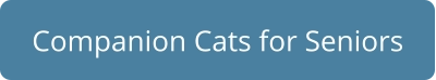 Companion Cats for Seniors