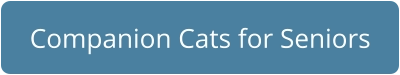Companion Cats for Seniors