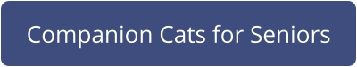 Companion Cats for Seniors