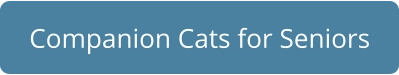 Companion Cats for Seniors