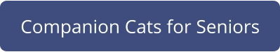 Companion Cats for Seniors